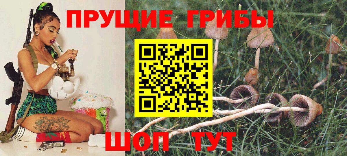 Галлюциногенные грибы GOLDEN TEACHER Нижневартовск